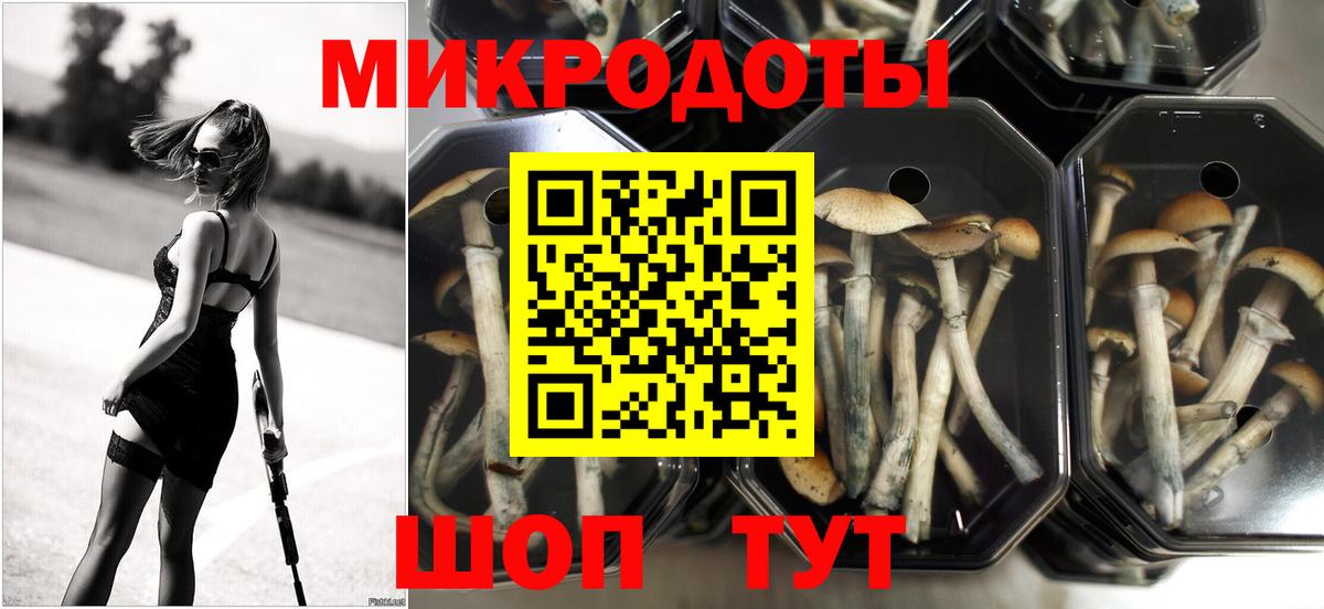 Гагарин  Галлюциногенные грибы Magic Shrooms  Вход с VPN  Псилоцибиновые грибы Cubensis 