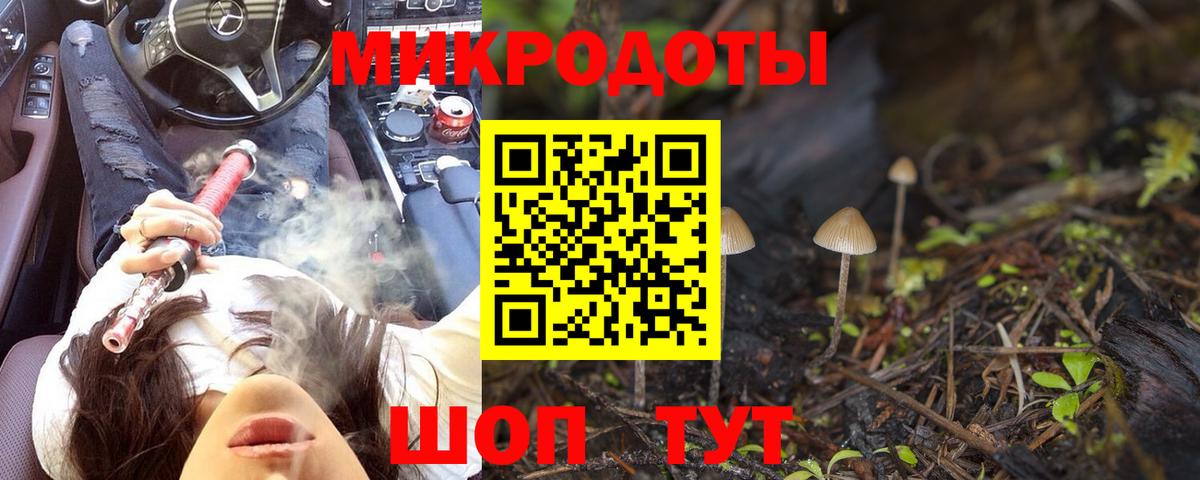 Псилоцибиновые грибы Magic Shrooms Гагарин